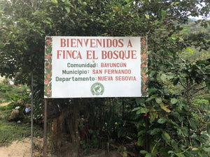 Nicaragua | El Bosque